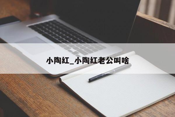 小陶红_小陶红老公叫啥