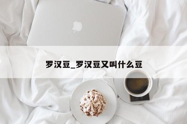 罗汉豆_罗汉豆又叫什么豆