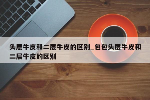 头层牛皮和二层牛皮的区别_包包头层牛皮和二层牛皮的区别