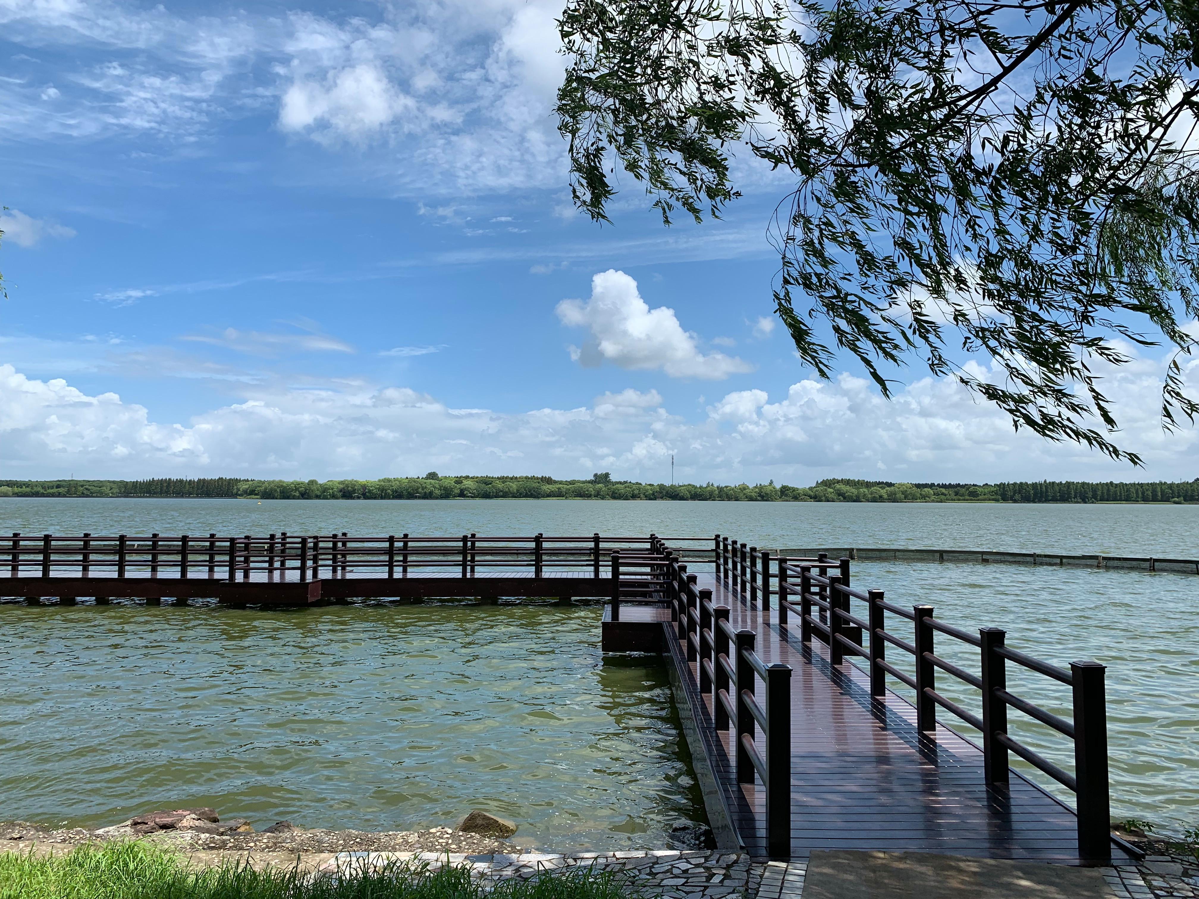 崇明岛(崇明岛旅游)