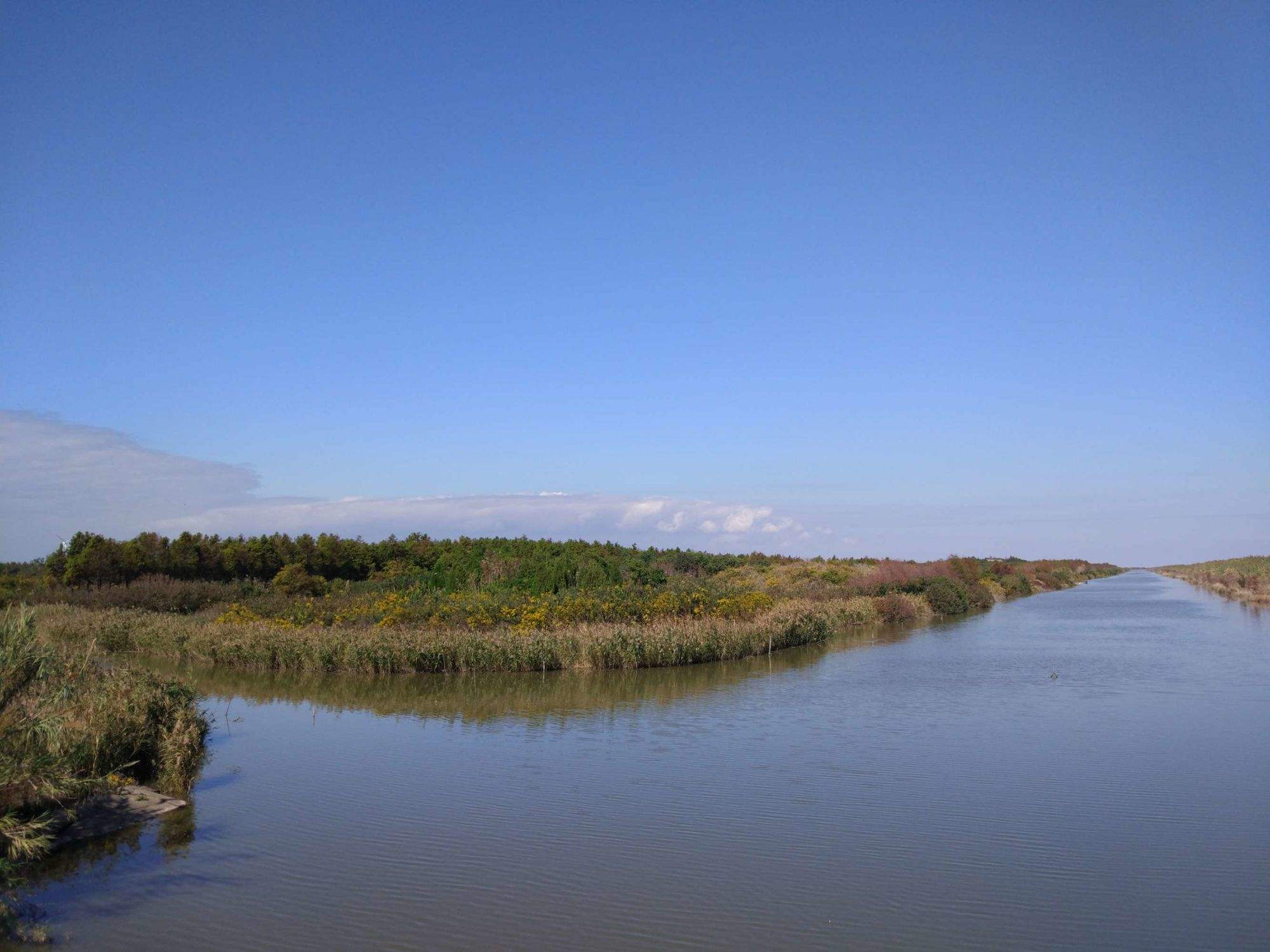 崇明岛(崇明岛天气预报) 崇明岛(崇明岛天气预报)