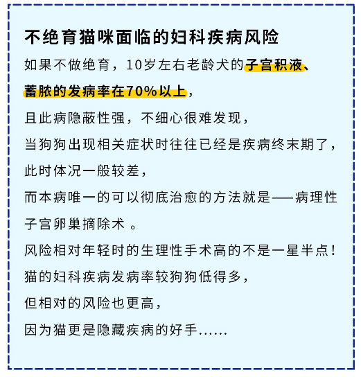 绝育多少钱(公猫绝育多少钱)