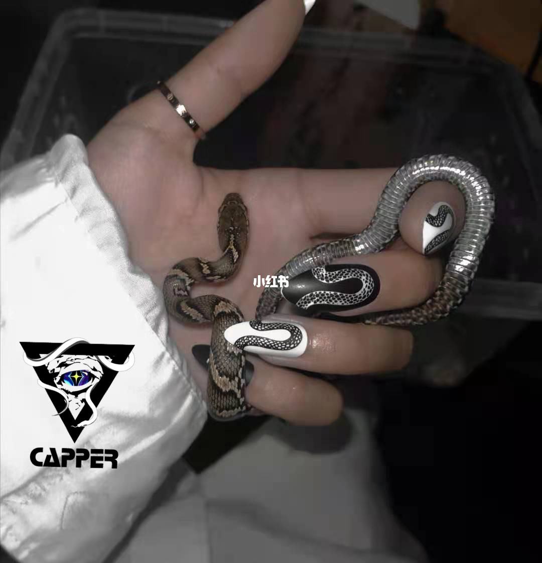 棕黑蛇(棕黑蛇能活几年) 棕黑蛇(棕黑蛇能活几年)