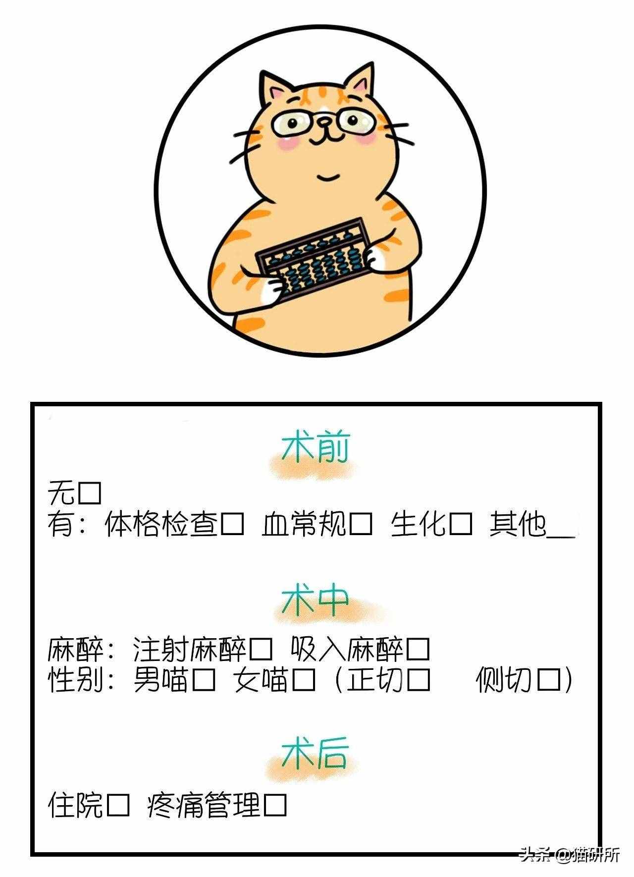 绝育多少钱(泰迪做绝育多少钱) 绝育多少钱(泰迪做绝育多少钱)